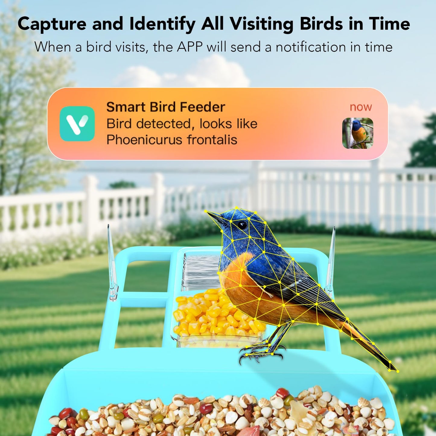Smart Bird Feeder with Camera, 5200mAh Battery with Solar Panel, 2K Live View/AI Identifies/App Control/Instant Arrival Alert/Auto Capture/135° Motion Detection/IP65 Waterproof, Ideal Gift