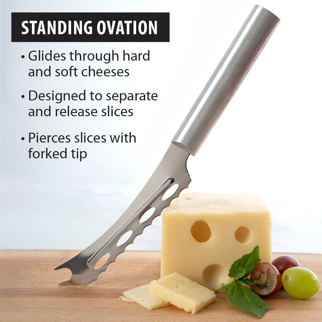 Silver Cheese Knife ProPack