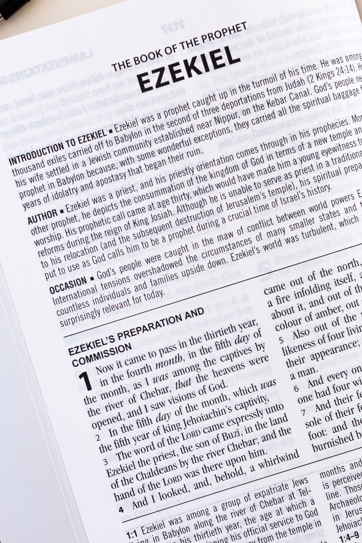 KJV Study Bible, Large Print [Hummingbird Lilacs]
