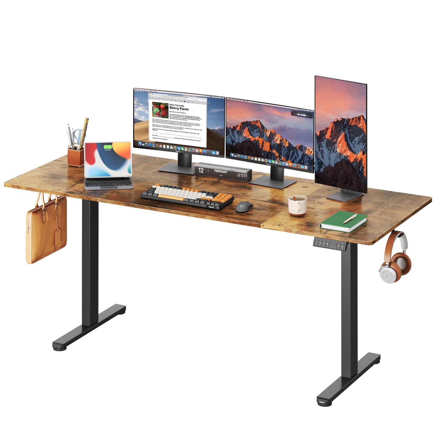 DEVAISE 48 X 24 Inches Electric Standing Desk,Height Adjustable Stand up Desk for Home Office, Ergonomic Sit to Stand Desk with Phone Holder,White