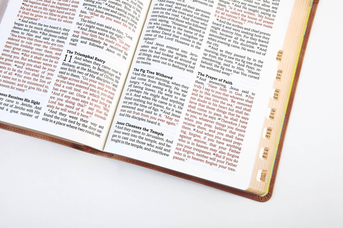 The Barbour Simplified KJV--Large Print [Rust & Stone Cross]